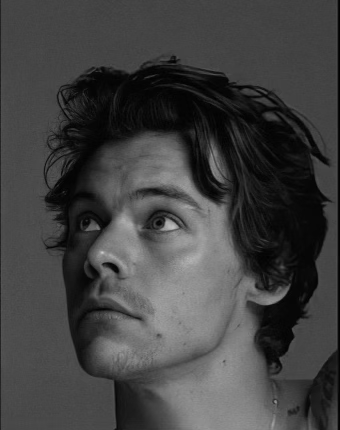 Harry Styles - Abbie Coen